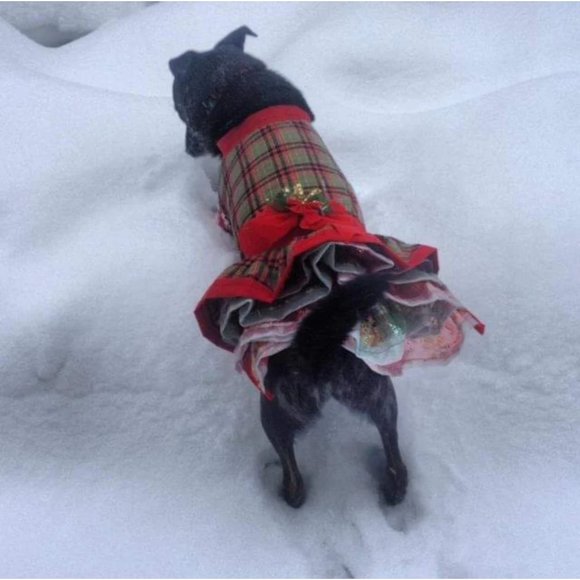 Dog Pet Dress Hoodie Costume, Dog Birthday Tutu Dog Princess Costume Pet Clothes - Picture 4 of 12